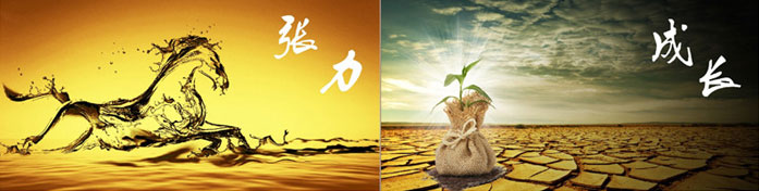 企業(yè)發(fā)展要學(xué)會(huì)取他人之長(zhǎng)、補(bǔ)自己之短